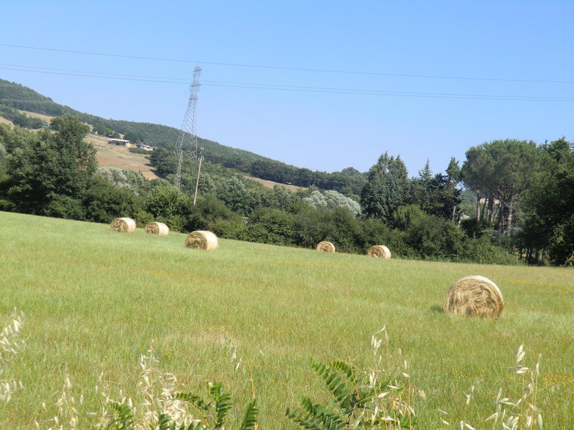 Agriturismo Cavallin Del Bufalo Manciano Extérieur photo